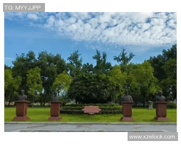 自贡籍足球明星全景盘点与成就回顾