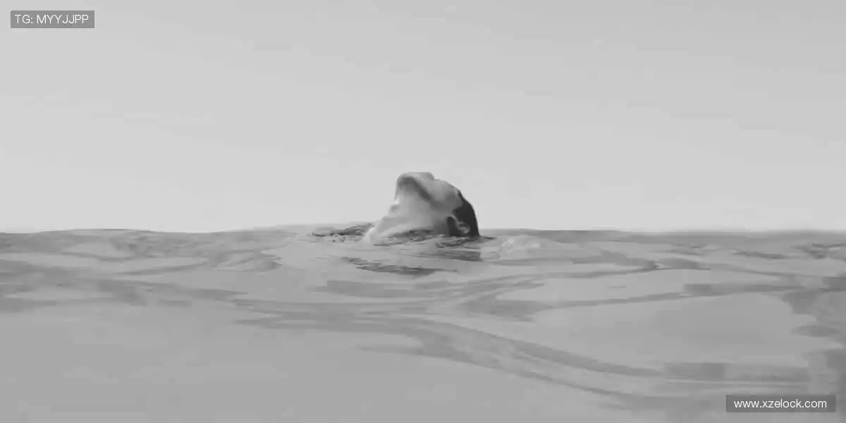 ⚽️ 热血赛事,即刻点燃你的激情!🏆